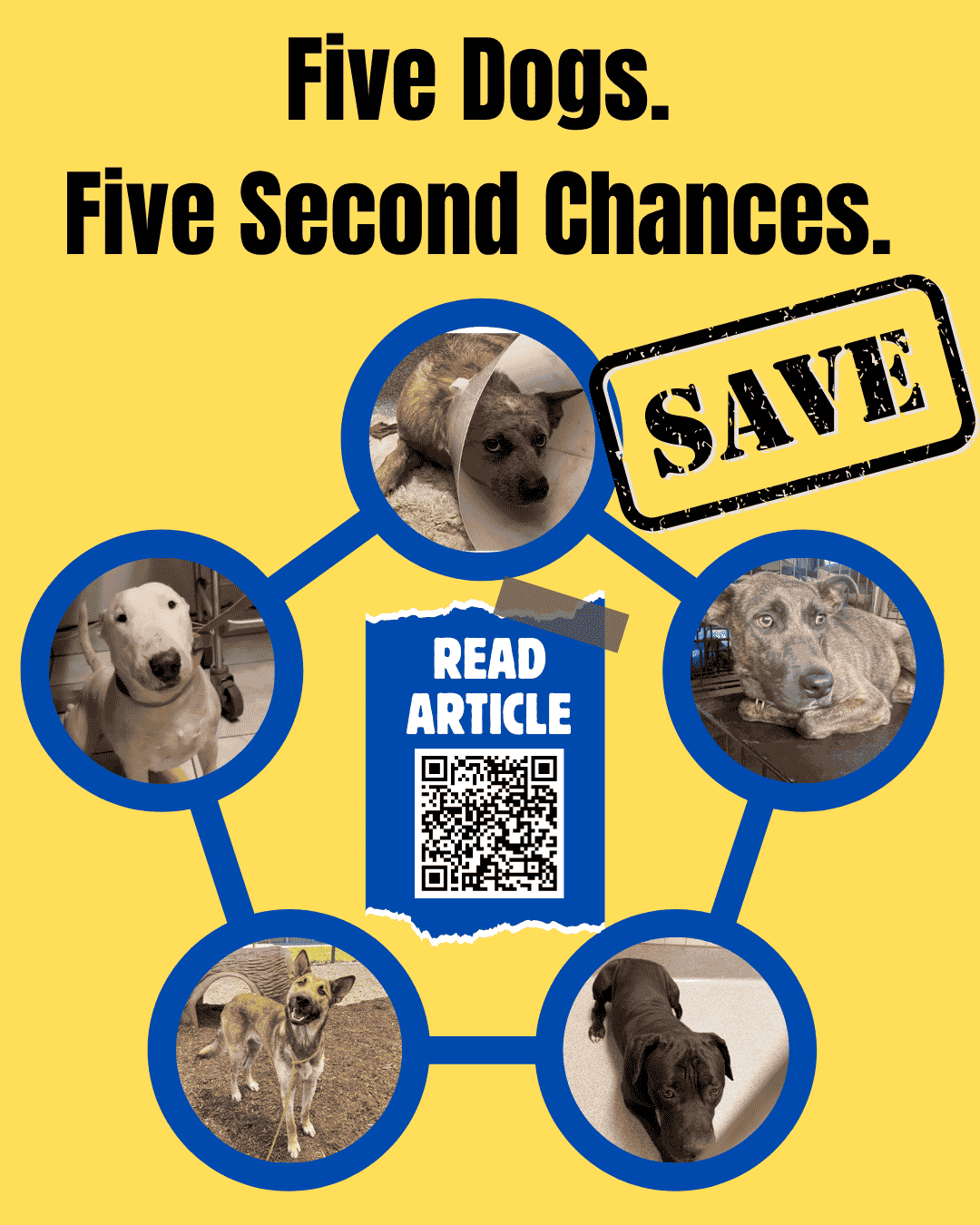 Rescue & Grant Updates: Ella, Goofy, Skippie, Jack, Jess - Hope Paws Support Fund - rescue update 5 1