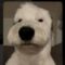 Deez Bnutz Avatar